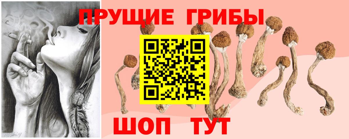 Псилоцибиновые грибы Magic Shrooms  Псилоцибиновые грибы Cubensis  Саяногорск  Вход с VPN 